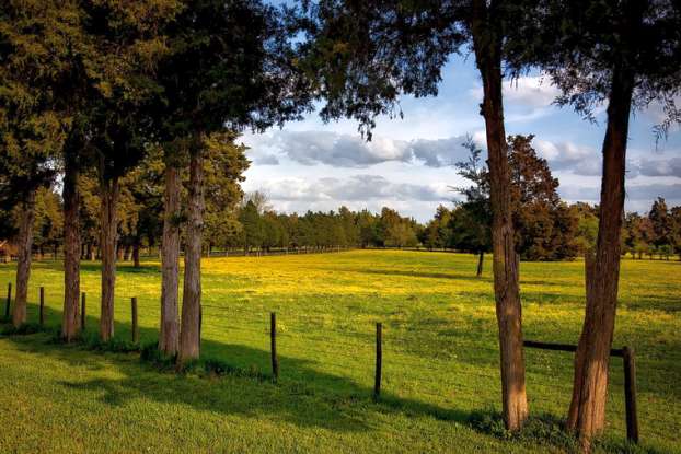 A Farm in Rural Alabama